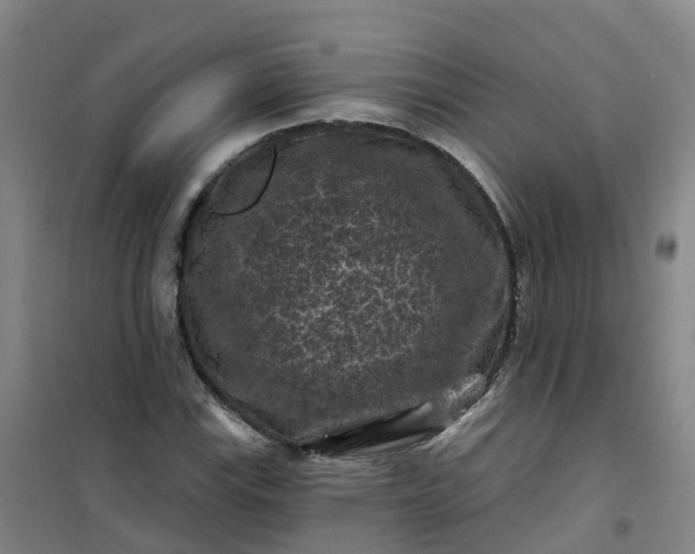 X0000101091115200807101542