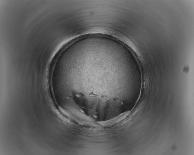 X0000101091116200807101542