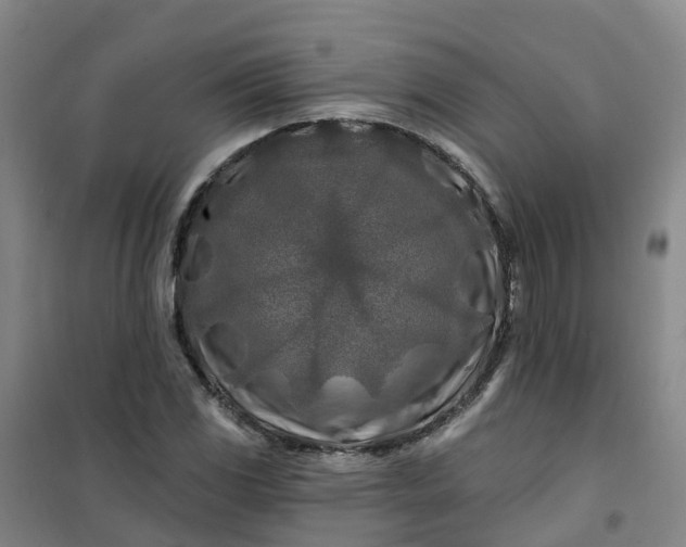 X0000101091117200807101542