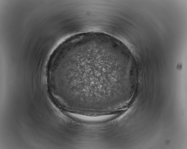 X0000101091118200807101542