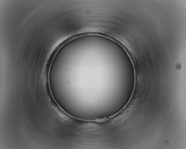 X0000101091119200807101542