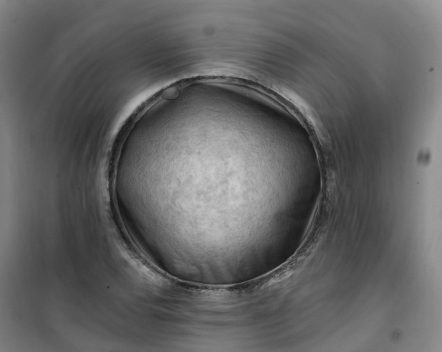 X0000101091120200807101542