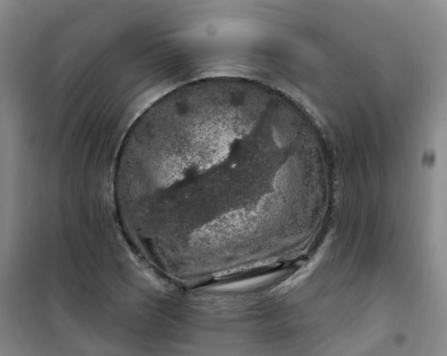 X0000101091121200807101542