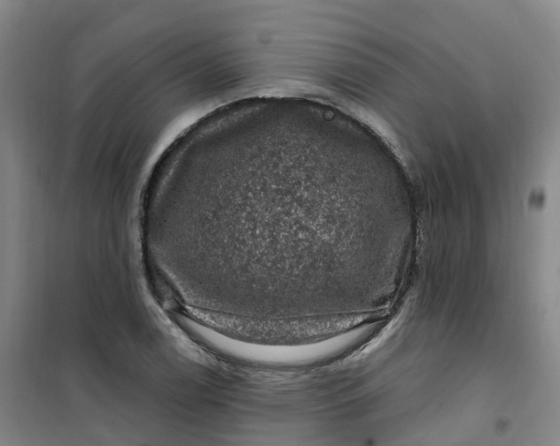 X0000101091122200807101542