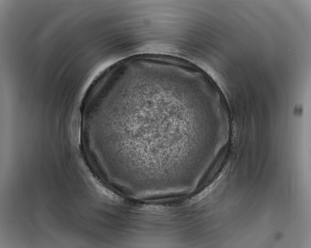 X0000101091123200807101542