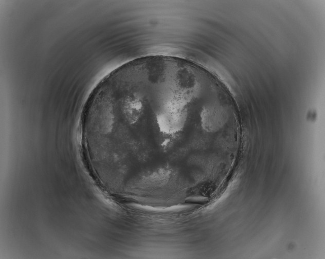 X0000101091125200807101542