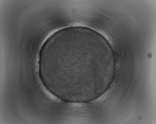 X0000101091126200807101542