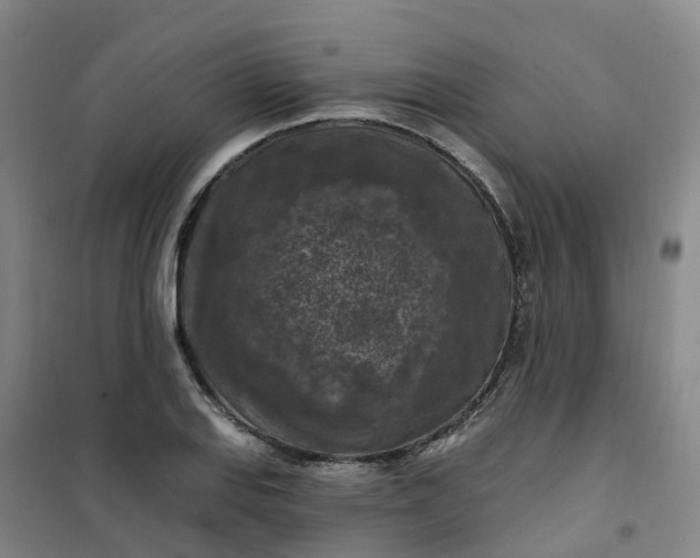 X0000101091127200807101542