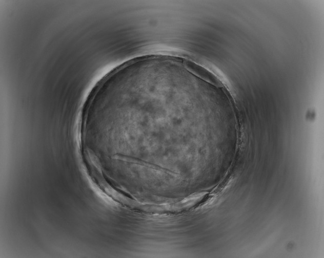 X0000101091128200807101542