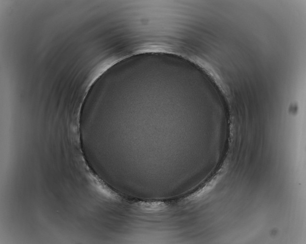 X0000101091129200807101542