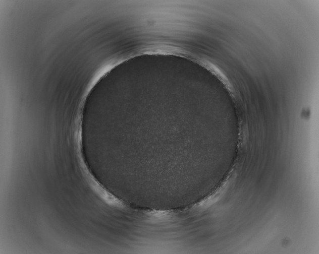 X0000101091130200807101542