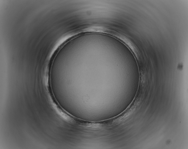 X0000101091131200807101542