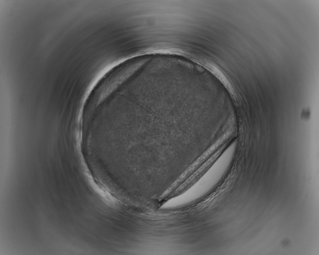 X0000101091132200807101542