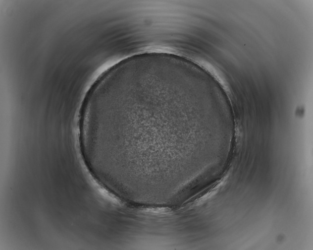 X0000101091133200807101542