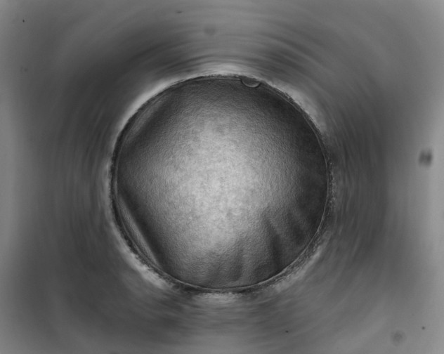 X0000101091134200807101542