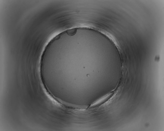 X0000101091135200807101542