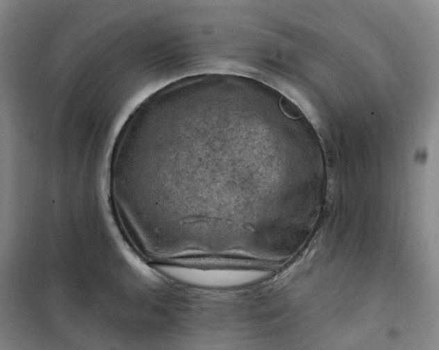 X0000101091136200807101542