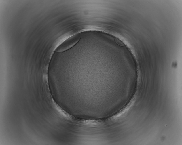 X0000101091137200807101542