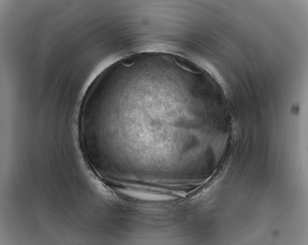 X0000101091138200807101542