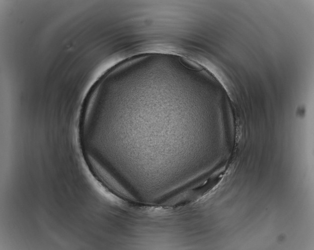 X0000101091139200807101542