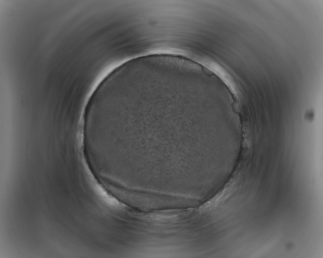 X0000101091140200807101542