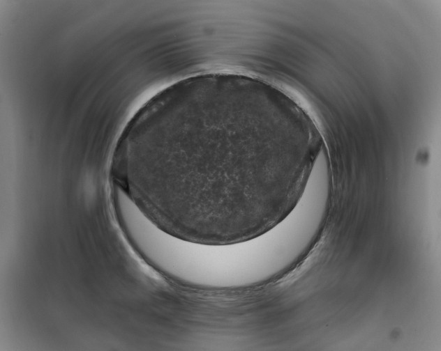 X0000101091141200807101542