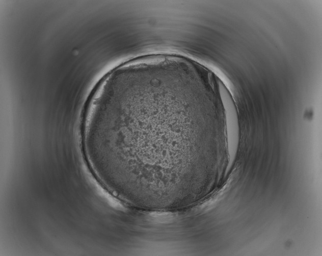 X0000101091142200807101542