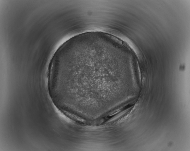 X0000101091143200807101542