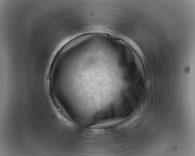 X0000101091144200807101542