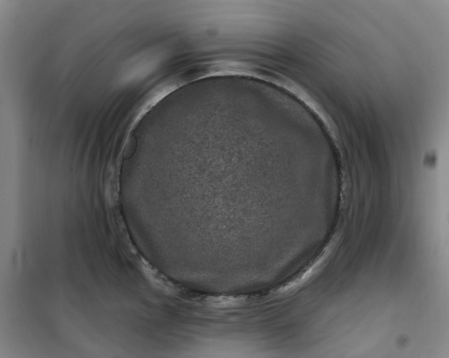 X0000101091145200807101542