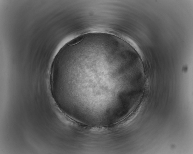 X0000101091146200807101542