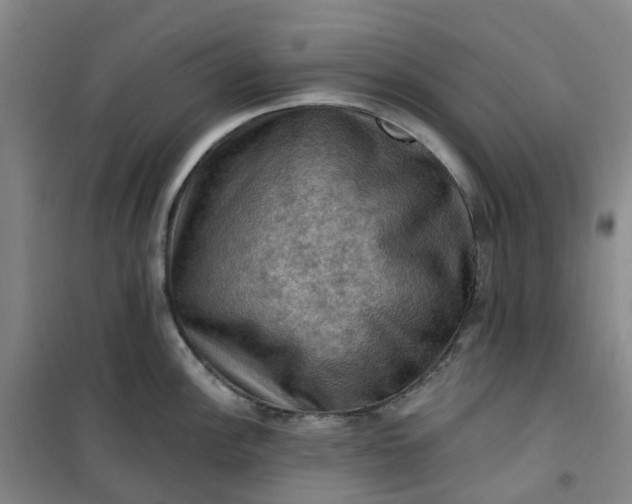 X0000101091148200807101542