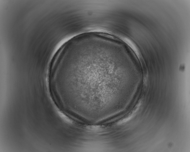 X0000101091149200807101542