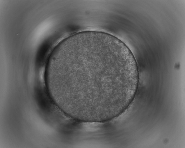 X0000101091150200807101542