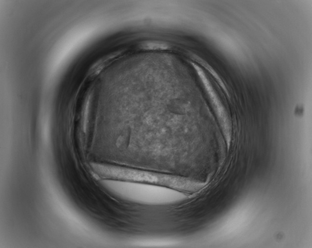 X0000101091151200807101542