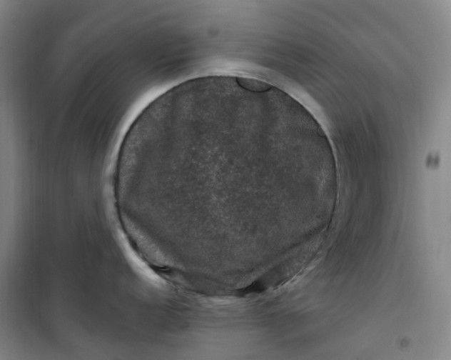 X0000101091152200807101542