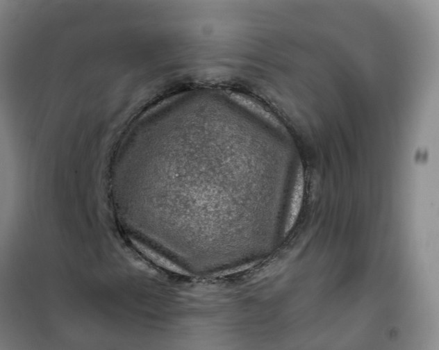 X0000101091153200807101542