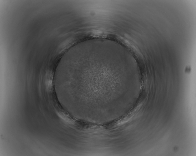 X0000101091154200807101542