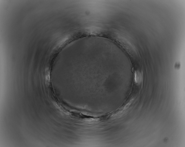 X0000101091155200807101542