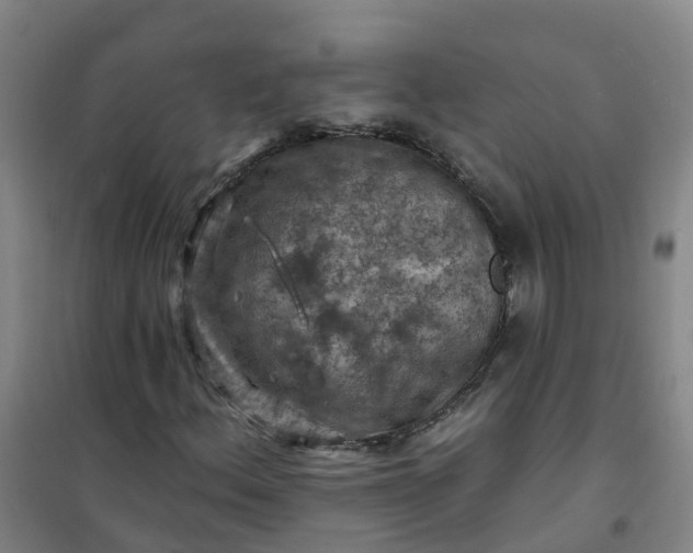 X0000101091156200807101542