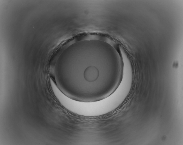 X0000101091157200807101542