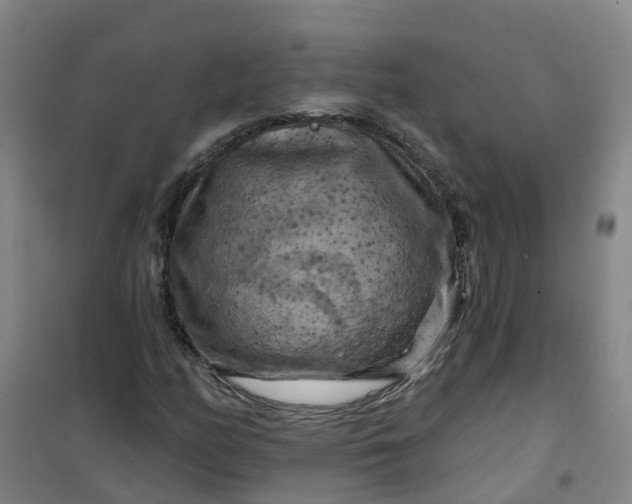 X0000101091158200807101542