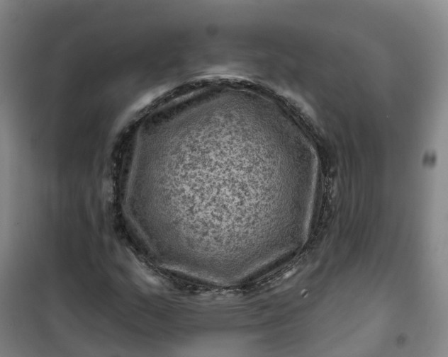 X0000101091159200807101542