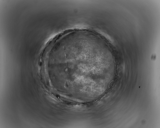 X0000101091160200807101542