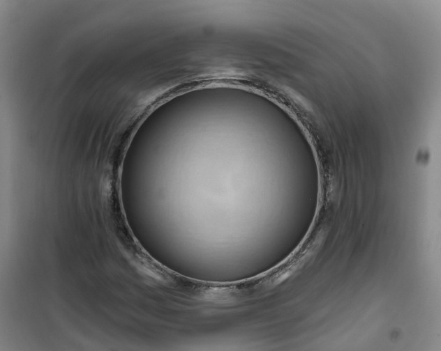 X0000101091161200807101542