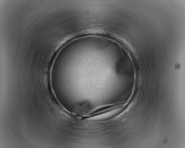 X0000101091162200807101542