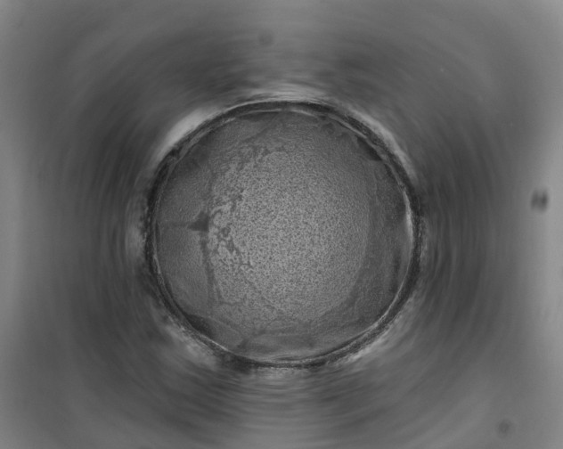 X0000101091163200807101542