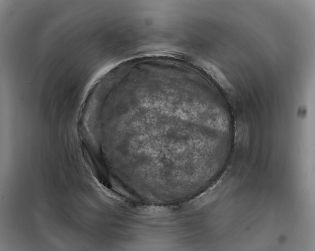 X0000101091164200807101542