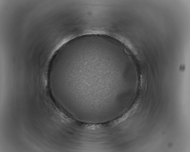 X0000101091165200807101542