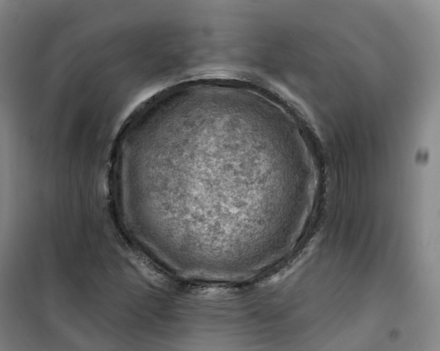 X0000101091166200807101542